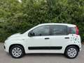 Fiat Panda Panda 1.2i Easy Blanc - thumbnail 2