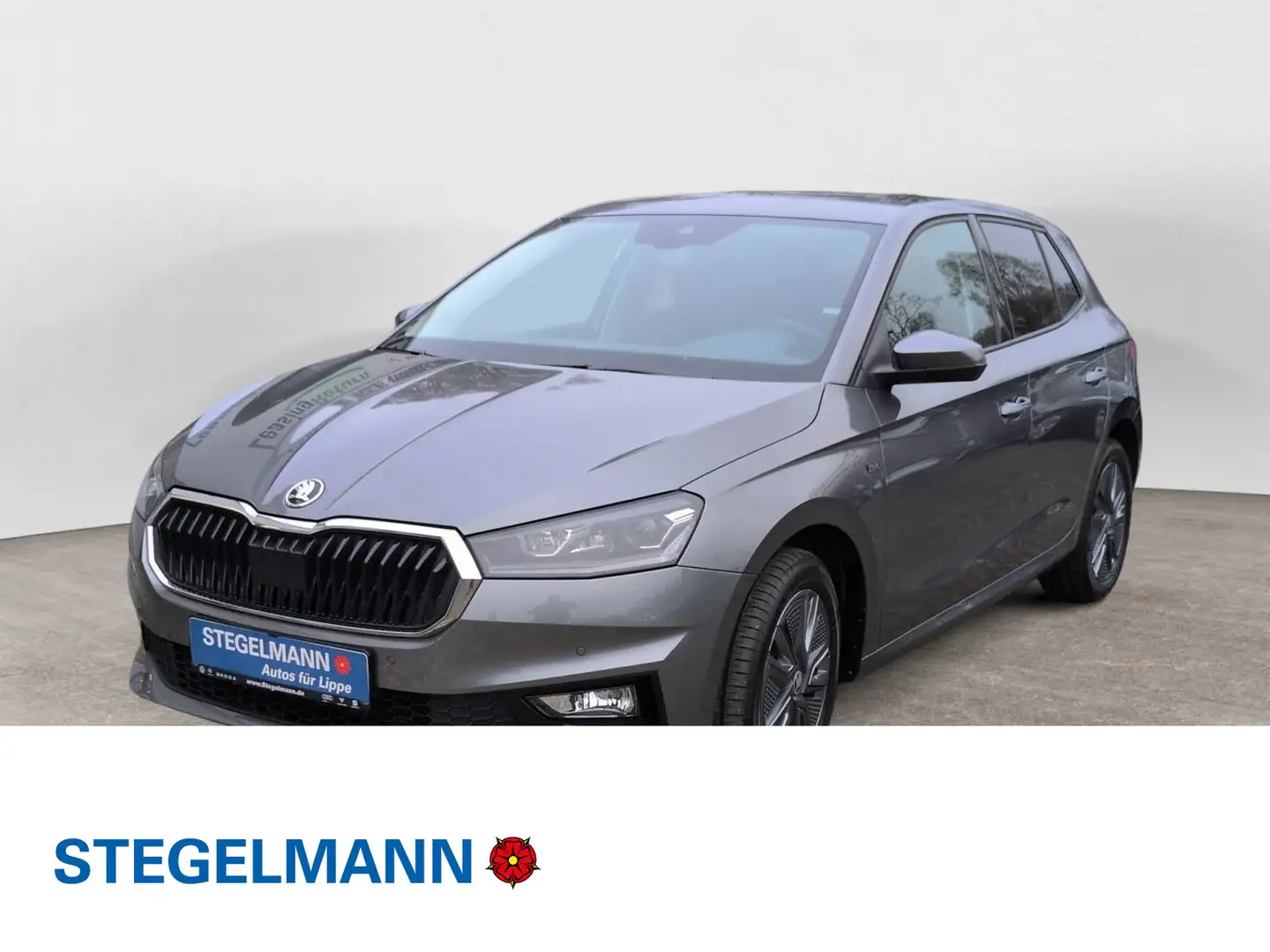 Skoda Fabia 1.0 TSI DSG Tour Grau - 1