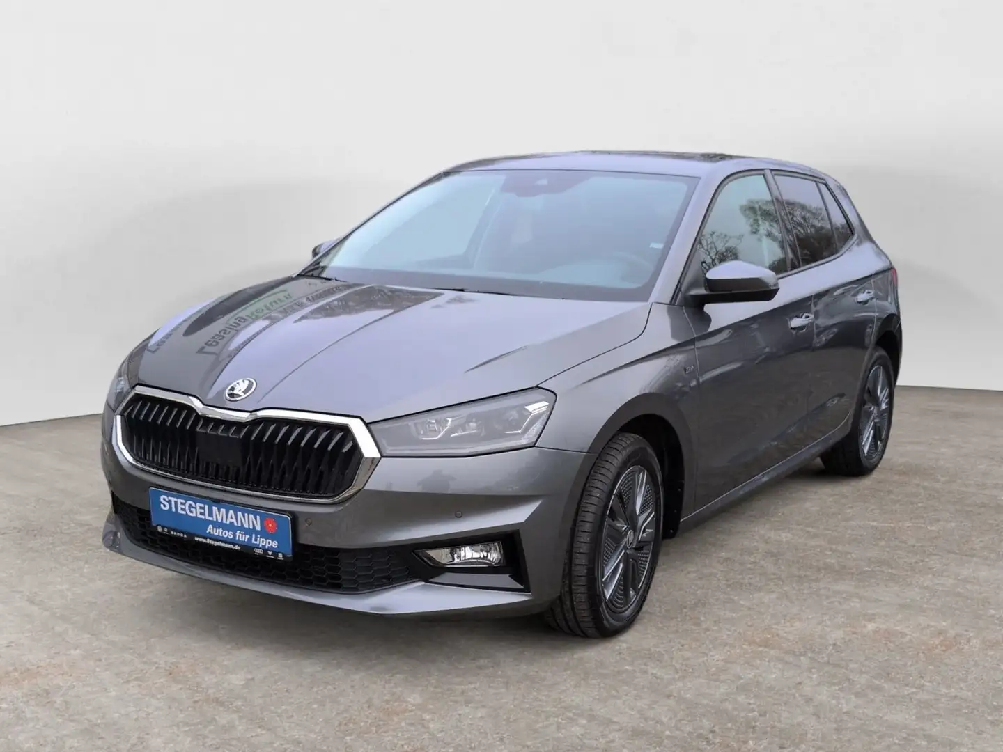 Skoda Fabia 1.0 TSI DSG Tour Grau - 2