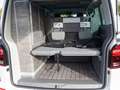 Volkswagen T6.1 California Ocean 2.0 TDI Automatik Standhzg Weiß - thumbnail 13