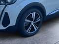 Peugeot 3008 BlueHDi 130 Stop & Start EAT8 GT Weiß - thumbnail 4
