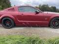 Ford Mustang GT 4.6 V8 | 490PS | Kompressor | Wertanlage Rot - thumbnail 3