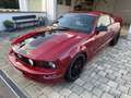 Ford Mustang GT 4.6 V8 | 490PS | Kompressor | Wertanlage Rot - thumbnail 10