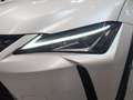 Lexus UX 250h Premium 2WD Blanco - thumbnail 23