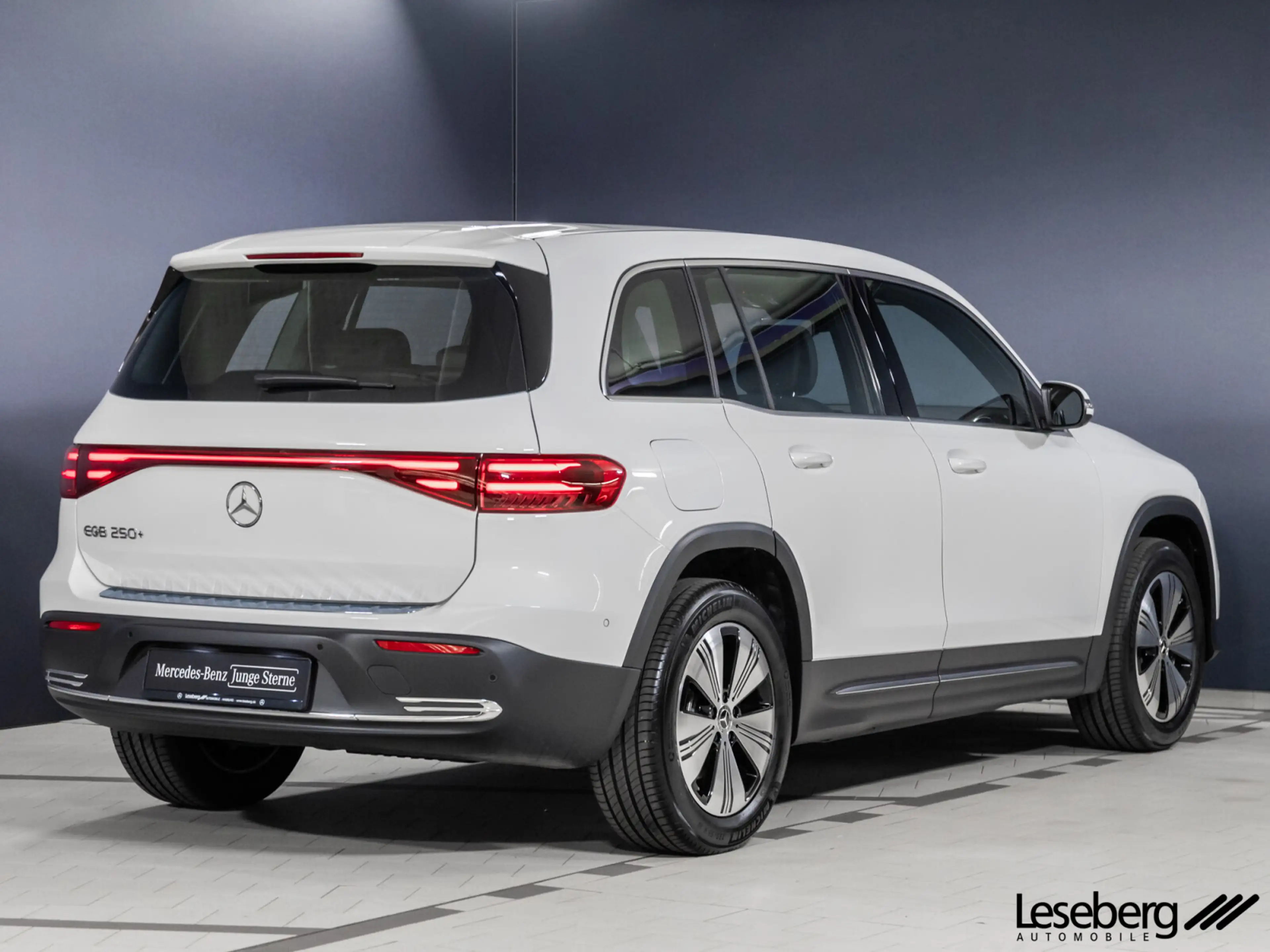 Mercedes-Benz EQB 250 EQB 250+ Progress. Adv. LED/Kamera/el.Heckklappe — photo 2
