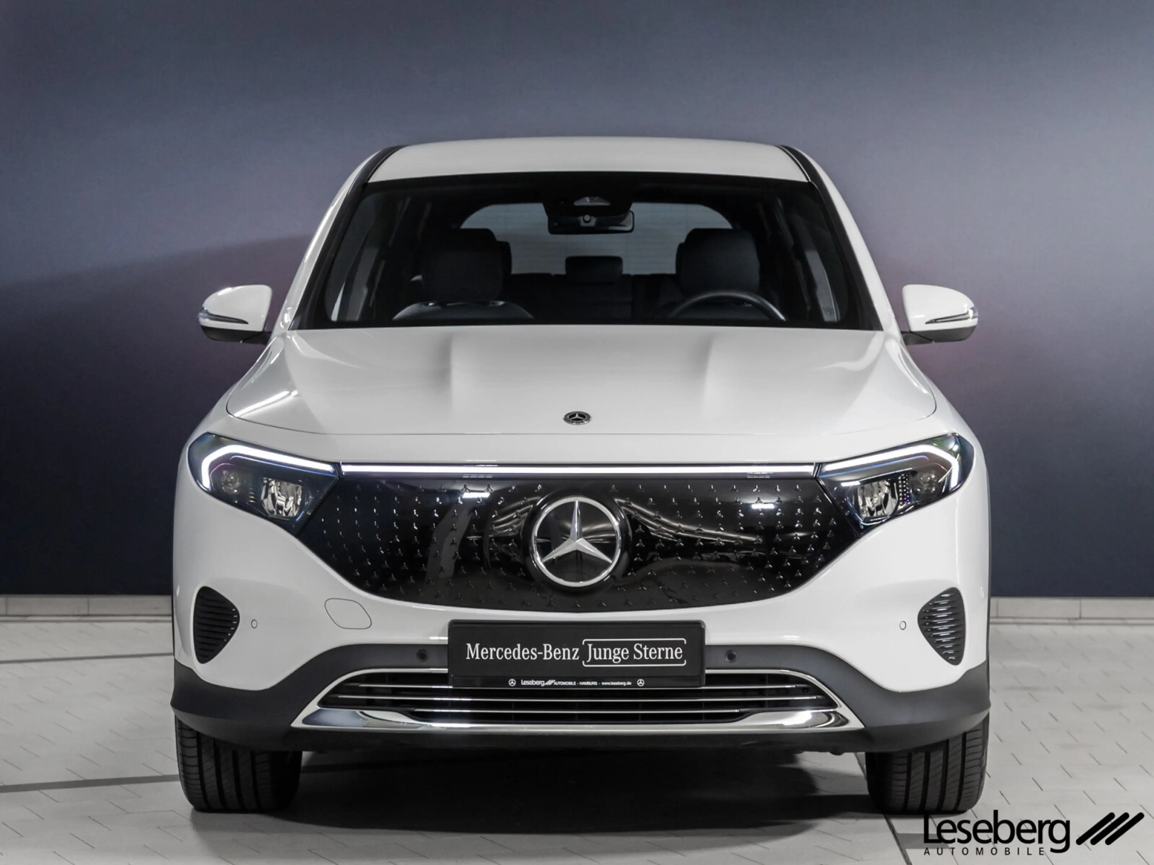 Mercedes-Benz EQB 250 EQB 250+ Progress. Adv. LED/Kamera/el.Heckklappe — photo 5