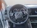 Skoda Karoq Executive 2.0 TDI 85 kW (115 CV) 6 marce - manuale Bianco - thumbnail 9