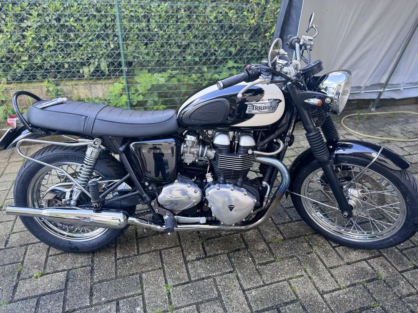 Triumph Bonneville T100 T100 - 2
