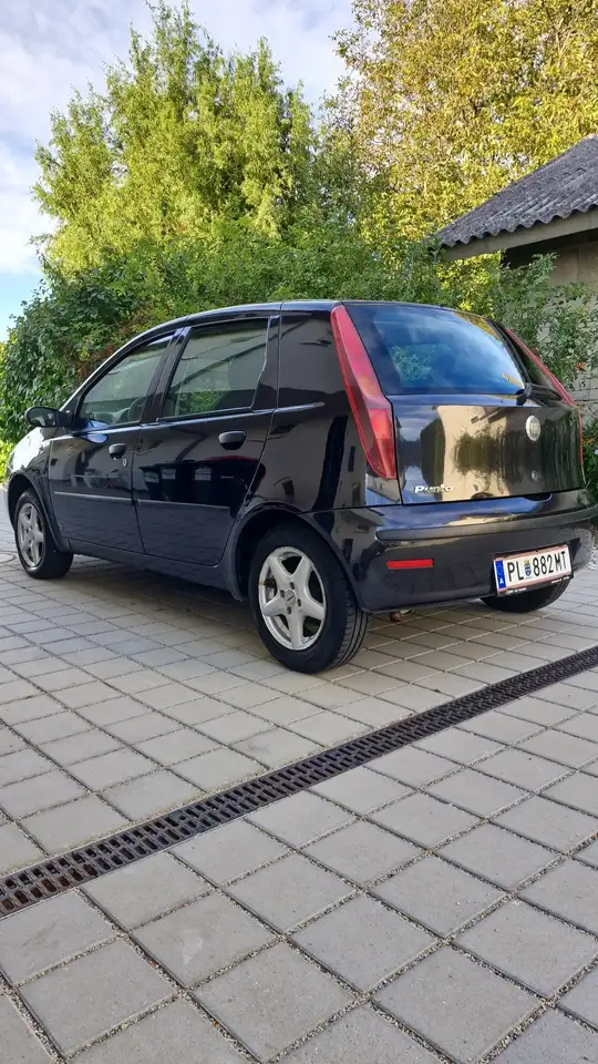 Fiat Punto 55 Sole, foto 5
