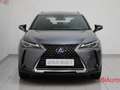 Lexus UX 250h UX Hybrid Executive Grigio - thumbnail 4