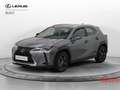 Lexus UX 250h UX Hybrid Executive Grigio - thumbnail 1