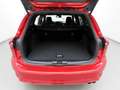 Ford Focus Turnier 1.0 M-Hybrid Aut. ST-Line iACC Rot - thumbnail 15