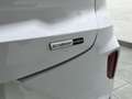 Ford Puma 1.0 EcoBoost MHEV Titanium 125 Blanco - thumbnail 42