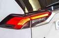 Toyota RAV 4 2.5l 220H Business 4WD Blanco - thumbnail 18