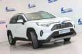 Toyota RAV 4 2.5l 220H Business 4WD Blanco - thumbnail 11