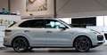 Porsche Cayenne E-Hybrid Platinum Edition Blanco - thumbnail 9