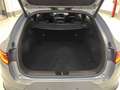 Kia ProCeed / pro_cee'd - ProCeed 1.5 t-gdi GT Line Special Edition 140cv Argintiu - thumbnail 19