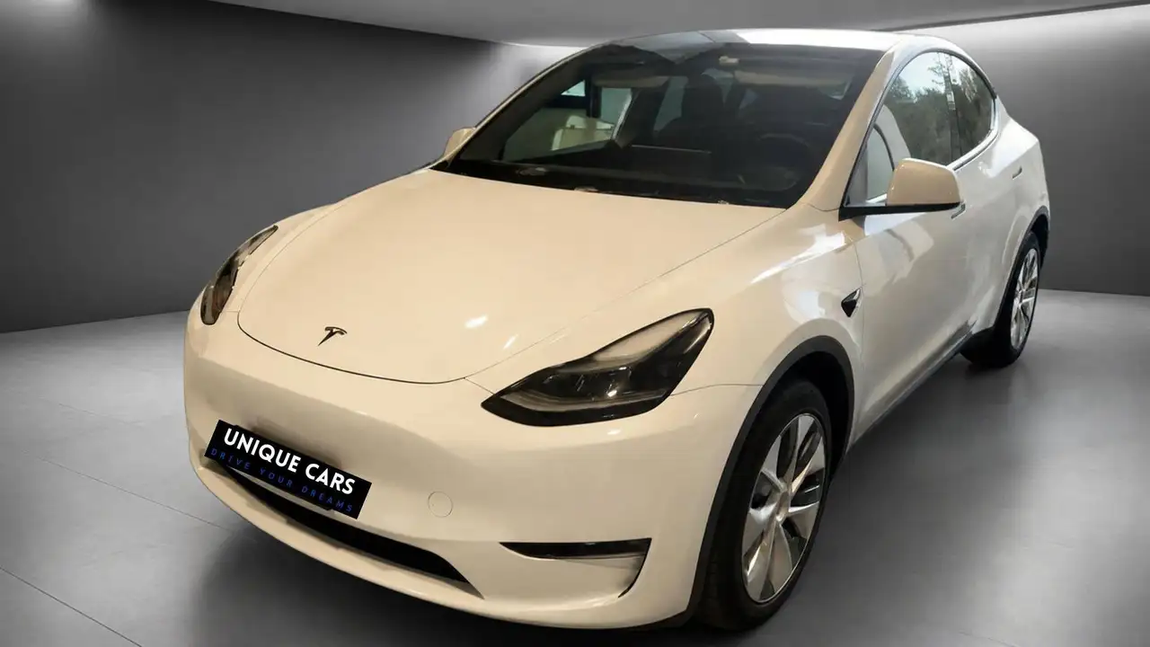 Tesla Model Y Model Y 2021 Long Range Dual Motor awd — photo 1 of 8