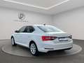 Skoda Superb Lim.*Virtual*Memory*Kamera*LED*Apple*ACC* Weiß - thumbnail 3