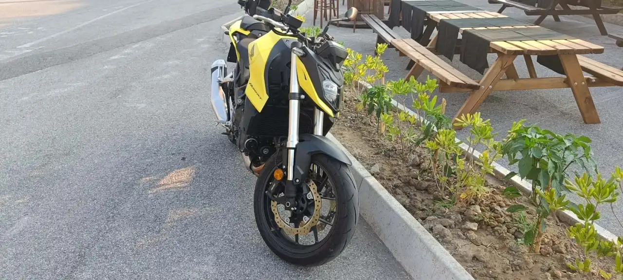 Honda Hornet