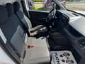 Fiat Doblo SX Maxi Kasten mit Regalausbau Weiß - thumbnail 11
