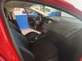 Ford Focus 1.5Ecoblue Active 120 Rojo - thumbnail 11