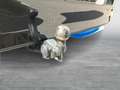 Volkswagen ID. Buzz VW ID. Buzz Pro 150 kW Schwarz - thumbnail 24