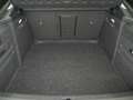 Skoda Superb 2.0TDI AdBlue Ambition DSG 110kW Verde - thumbnail 7