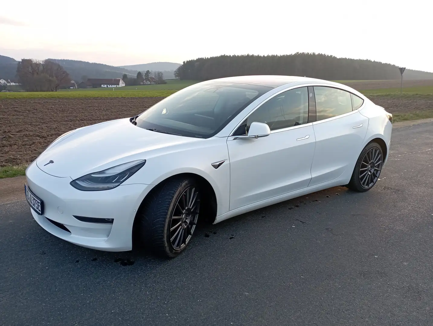 Tesla Model 3 Model 3 Allradantrieb Dual Motor Performance Weiß - 2