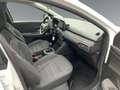 Dacia Sandero III 1.0 TCe 90  Expression AUTOMATIK SITZHEIZUNG E Weiß - thumbnail 15