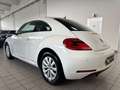 Volkswagen Maggiolino 1.2 TSI Design //BELL1SS1MO// Wit - thumbnail 4