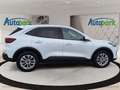Ford Kuga Titanium Hybrid FHEV AWD Weiß - thumbnail 5