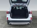 Ford Kuga Titanium Hybrid FHEV AWD Weiß - thumbnail 10
