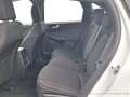 Ford Kuga Titanium Hybrid FHEV AWD Weiß - thumbnail 17