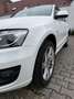Audi Q5 3.0 TDI quattro S tronic Weiß - thumbnail 8