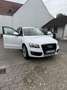 Audi Q5 3.0 TDI quattro S tronic Weiß - thumbnail 1