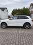 Audi Q5 3.0 TDI quattro S tronic Weiß - thumbnail 5