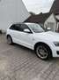 Audi Q5 3.0 TDI quattro S tronic Weiß - thumbnail 2