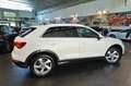 Audi Q3 35 TFSI S-Tronic Business Advanced - TETTO/ADAS Bianco - thumbnail 11