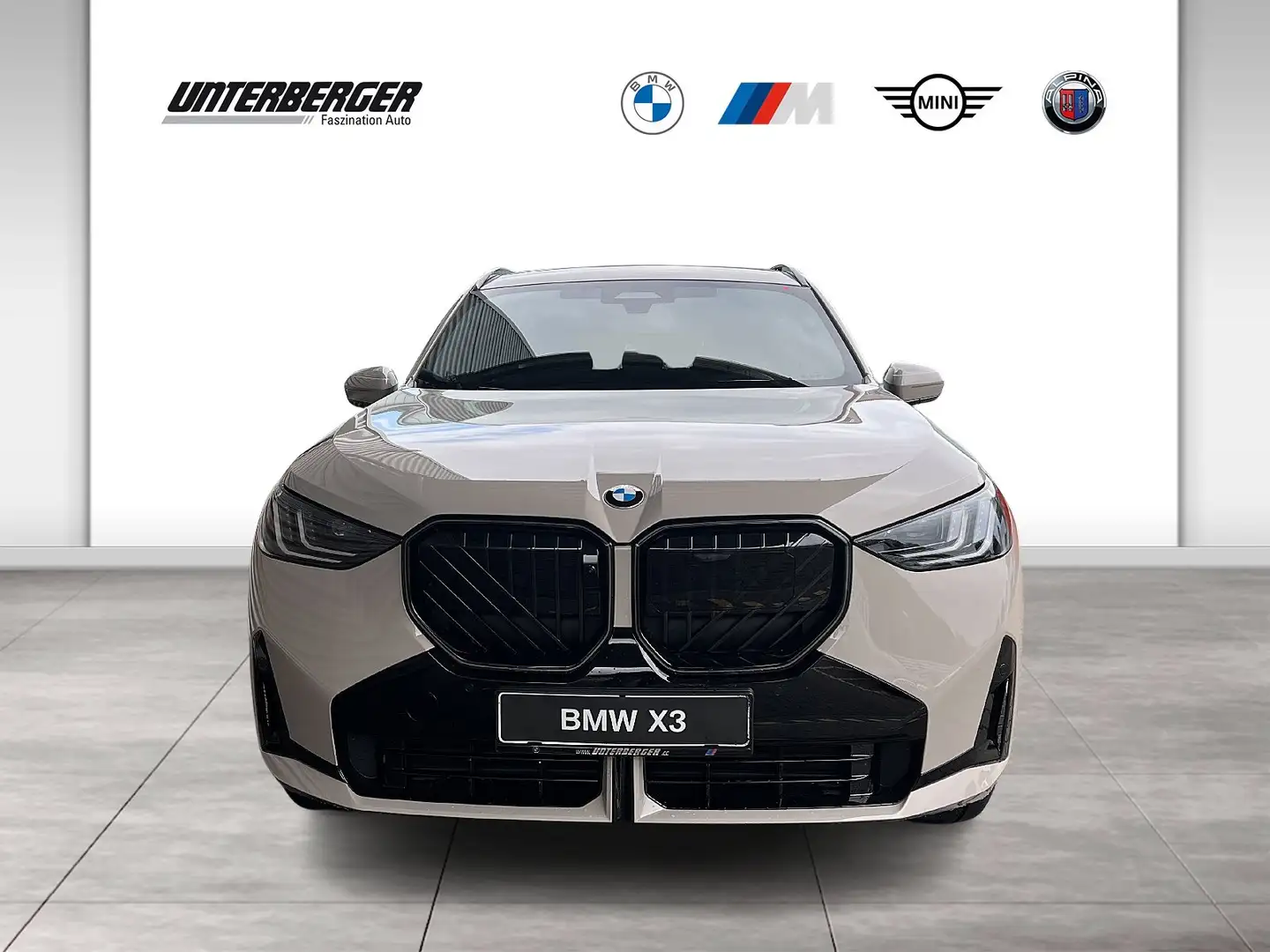 BMW X3 30e xDrive M Sportpaket HK HiFi DAB LED RFK Grau - 2