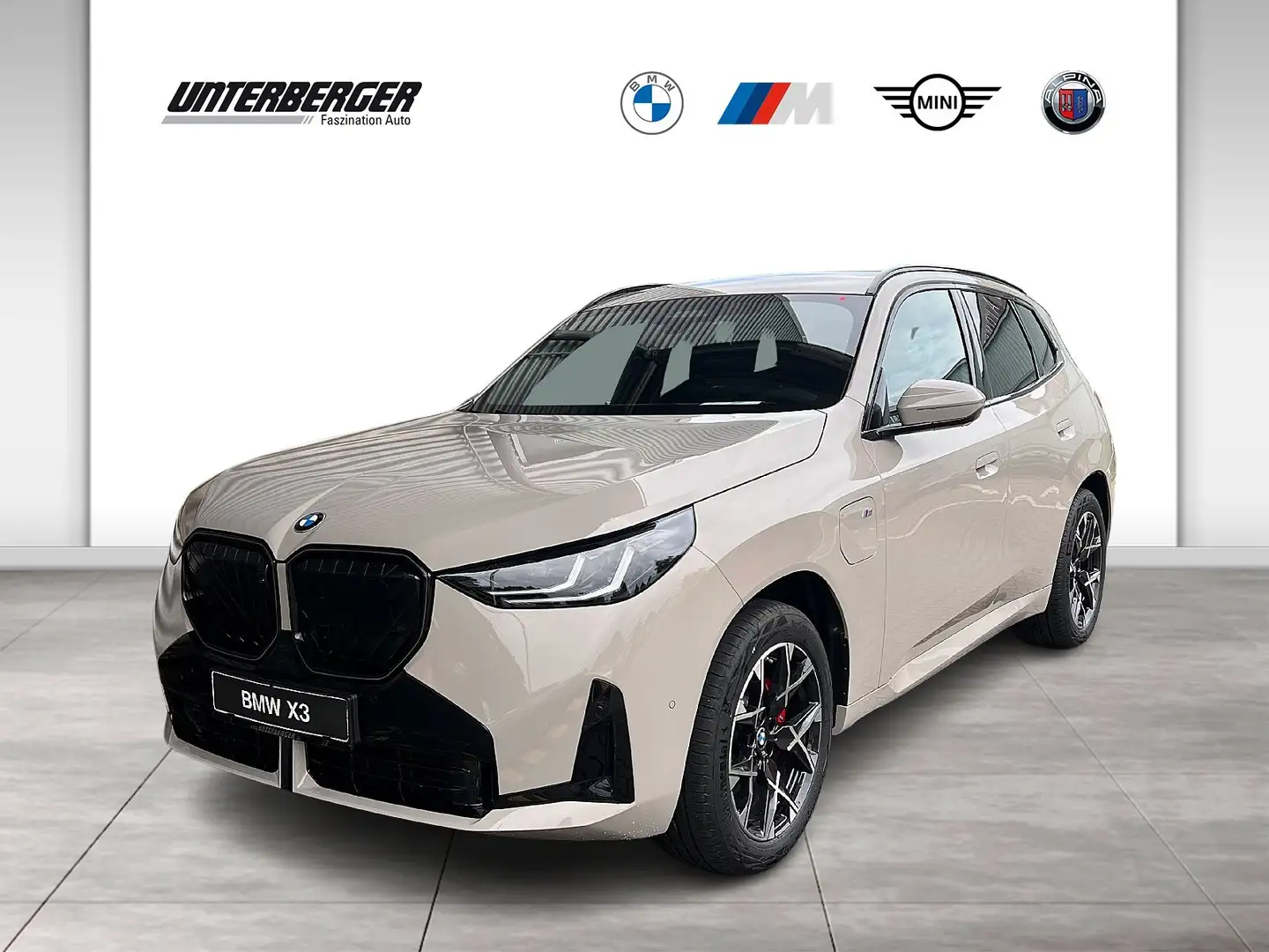 BMW X3 30e xDrive M Sportpaket HK HiFi DAB LED RFK Grau - 1