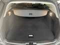 Ford Focus *Turnier*Cool & Connect*CarPlay*PDC v+h*WinterPake Grey - thumbnail 12