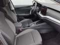 Skoda Octavia Selection TDI DSG Schwarz - thumbnail 8