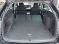 Skoda Octavia Selection TDI DSG Schwarz - thumbnail 23