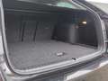 Skoda Octavia Selection TDI DSG Schwarz - thumbnail 20