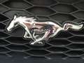 Ford Mustang GT V8 California Special Negro - thumbnail 12