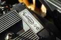 Daimler XJ 40 Verde - thumbnail 40