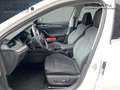 Skoda Octavia Combi 2.0 TDI DSG Style Navi LED AHK Weiß - thumbnail 10