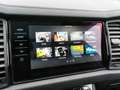Skoda Kodiaq Clever 4x4 2.0 TDI DSG LED Navi PANO AHK Grau - thumbnail 19