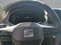 SEAT Ibiza FR 1.5 TSI 110 KW (150 PS) 7-GANG-DSG Navi Digital Grau - thumbnail 12